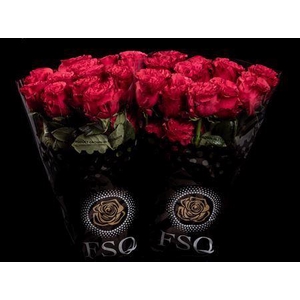 R Gr Exotix Berry