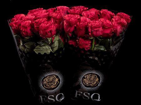 <h4>R Gr Exotix Berry</h4>