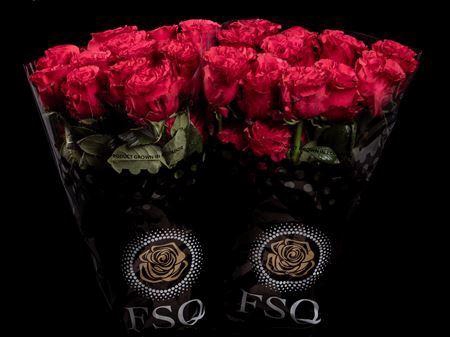 <h4>R Gr Exotix Berry</h4>