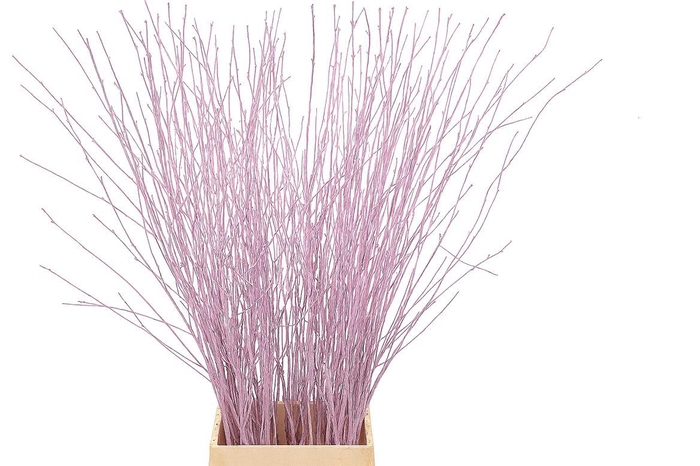 <h4>Berk 70cm Lichtroze Pbs</h4>
