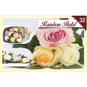R Gr Rainbow Pastel 40cm EC