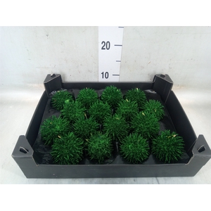 Decoratieve materialen   ...H%