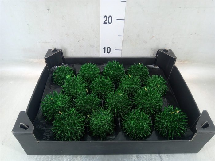 <h4>Decoratieve materialen   ...H%</h4>