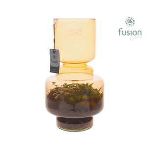 Green Bottle Lotte Large bruin met Terrarium arrangement