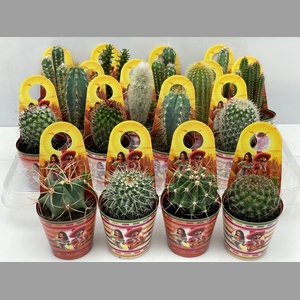 CACTUS GEM