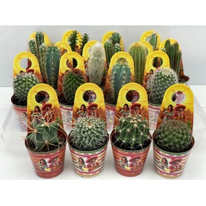 CACTUS GEM