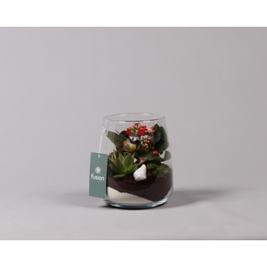 Glas Alzada met Arrangement