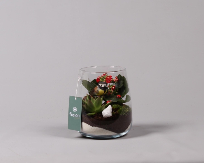 <h4>Glas Alzada met Arrangement</h4>