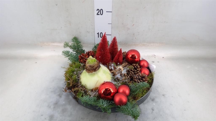 <h4>Arr. Kerst L%</h4>