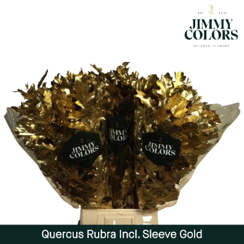 Quercus Rubra sleeve L80 Mtlc. Goud