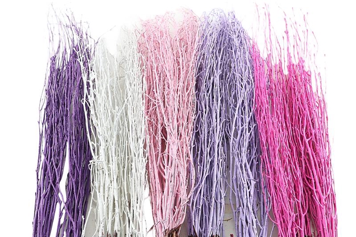 <h4>Berk Klb Mix Pastel</h4>