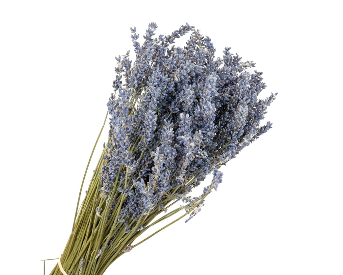 <h4>Lavendel Blue Nat 100gr</h4>