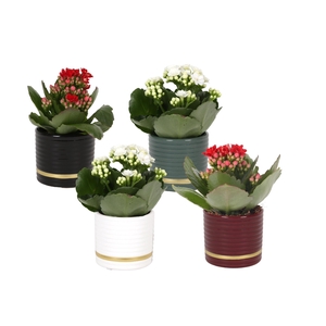 KP-871.2 - Rosalina 6cm in luxe cilinder keramiek