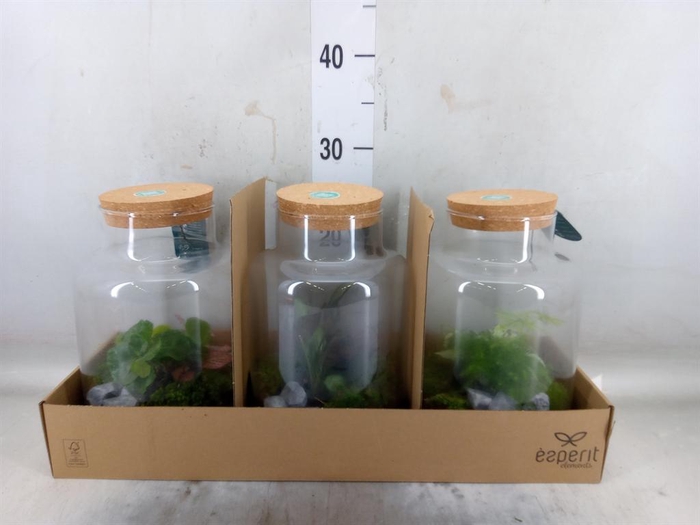 <h4>Arr.    Planten  H%</h4>