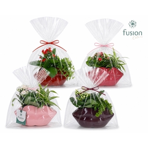 Keramiek Lippen planter met Arrangement