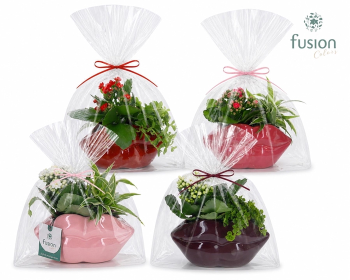 <h4>Keramiek Lippen planter met Arrangement</h4>