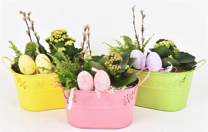 <h4>Zink ovaal vlinder 22x13</h4>