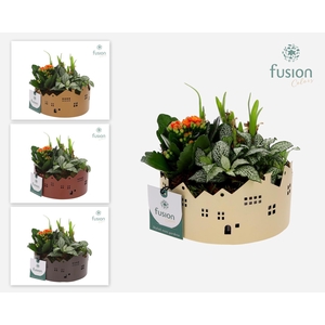 Zinken schaal Huisjes Small Voorjaar arrangement