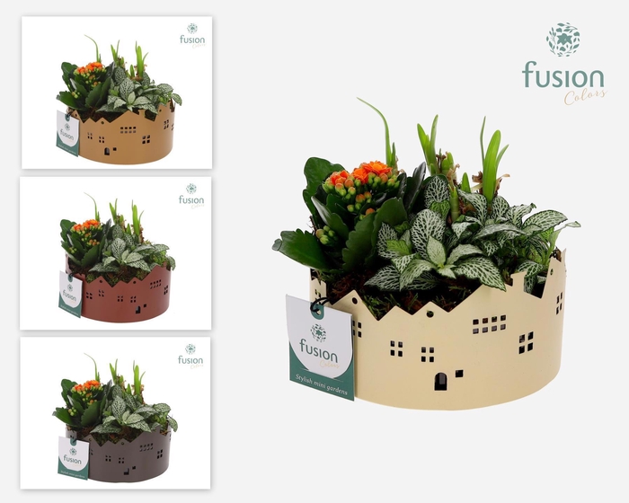 <h4>Zinken schaal Huisjes Small Voorjaar arrangement</h4>