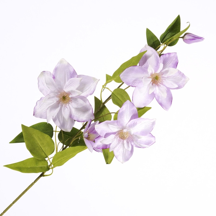 Clematis Spray Purple FL440354PRP