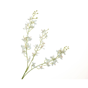 Dendrobium Orchid White FL440047WHI