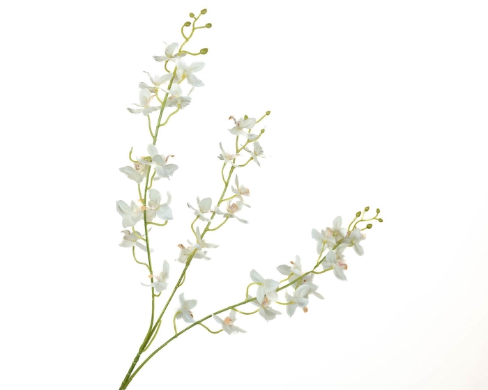 Dendrobium Orchid White FL440047WHI