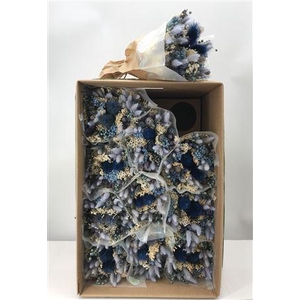 Dr Bqt Dried Fantasy Blue Naturale