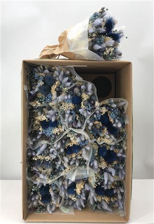 <h4>Dr Bqt Dried Fantasy Blue Naturale</h4>