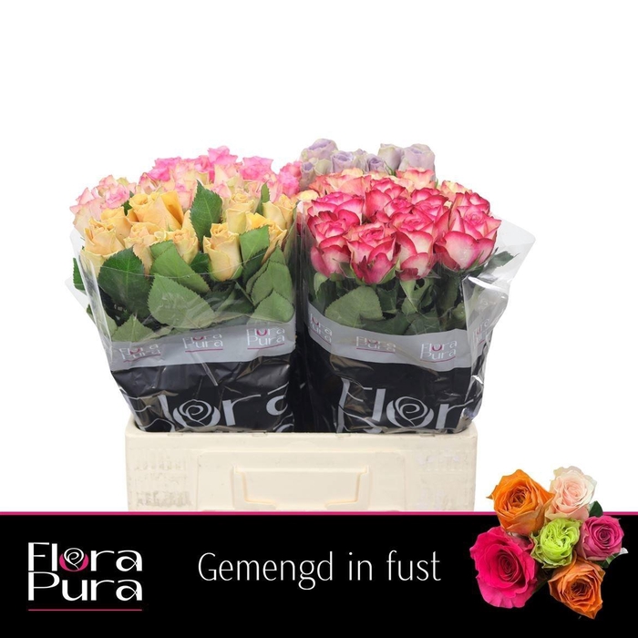 <h4>R GR GEM IN FUST</h4>