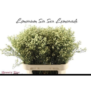 LIM SIN SEN LEMONADE