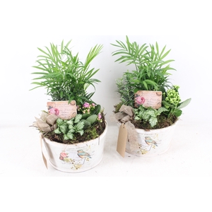 arr2 TD - MDF schaal rond - roze/wit