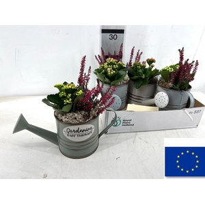 ARR TUINPLANTEN