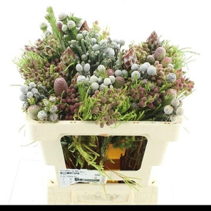 ALLERHEILIGENBOEK BS