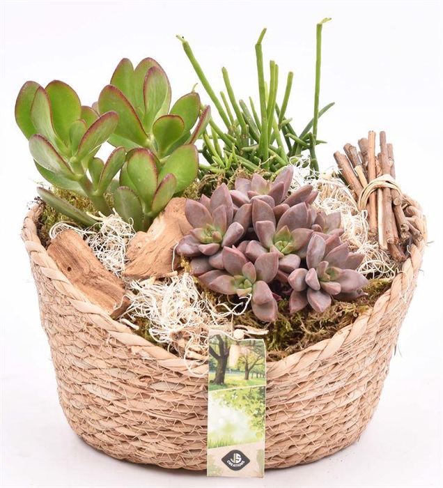 <h4>Jute mand ovaal 23x18.5cm</h4>