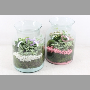 arr2 PL - Glas bose hoog 285/5 - roze/wit