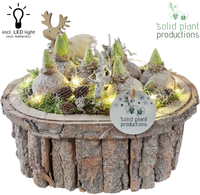 <h4>BOLH001 Bark O Large Grey Hyacint + LED</h4>