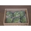 Wax Hydrangea Creme\blauw