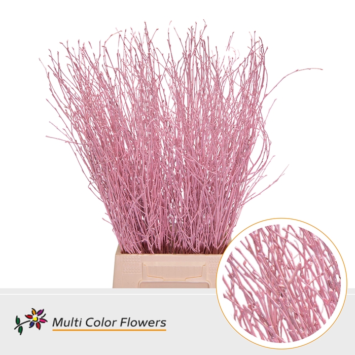 <h4>Berk Rose Licht</h4>