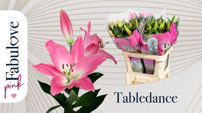 <h4>Li Ot Tabledance 3+</h4>