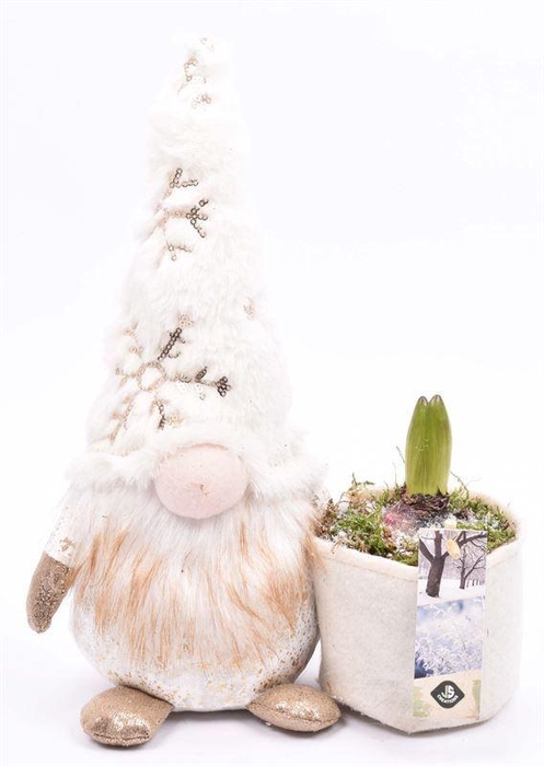 <h4>Gnoom 24x14cm</h4>