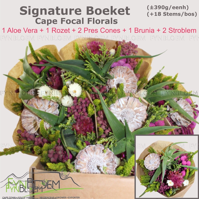 <h4>KAAPS GROE GEM IN BS</h4>