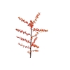 Ilex Berry Spray Orange XM660064ORA