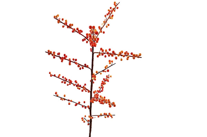 <h4>Ilex Berry Spray Orange</h4>