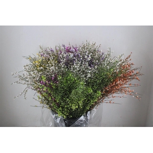 Ginster 200gr Mix Pbs