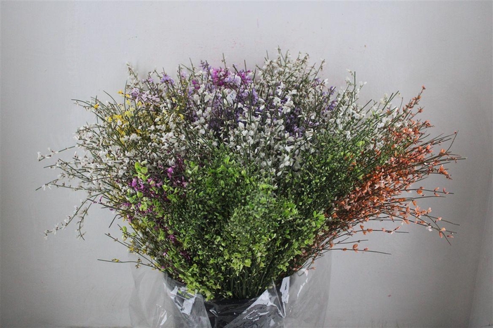 <h4>Ginster 200gr Mix Pbs</h4>