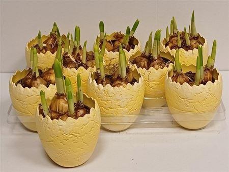 arr8 Arr N Tete A Tete In 1/2 Ei Keramiek