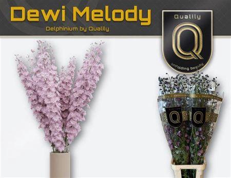 <h4>Delph Du Dew Melody 130CM!!</h4>