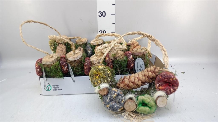 <h4>Decoratie  ..Vogelzaadfiguur</h4>