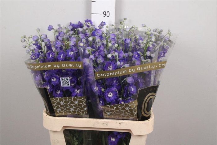 <h4>Delph Du Emerald</h4>