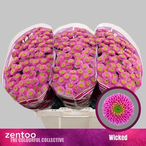 CHR SAN AAA WICKED CHR S WICKED